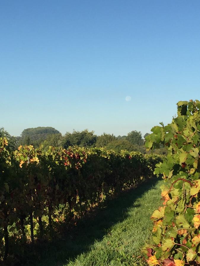 La Girarde Bed & Breakfast Saint-Quentin-de-Caplong Luaran gambar